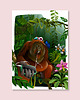 plakaty Plakat Orangutan