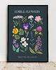 plakaty Plakat botaniczny "Edible flowers" 30x40cm