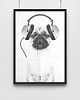 plakaty Plakat - Pies 50x70cm