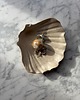 pojemniki na biżuterię Handmade Muszelka na Biżuterię Palo Santo Ceramiczna Beżowa
