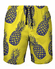 spodnie męskie Shorty Kąpielowe Męskie DR.CROW Pineapples
