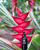 serum do twarzy Serum olejowe Ageless Opuntia anti-aging 30ml