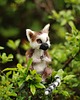 figurki i rzeźby Baby Lemur- zamówienie indywidualne