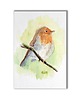 grafiki i ilustracje Akwarela ręcznie malowana "Rudzik" ptaki
