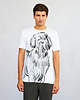 t-shirty męskie Newfoundland Dog Men's T-shirt white