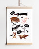 plakaty Pieski |print| B2|A3