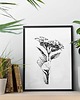 grafiki i ilustracje Hortensja - grafika botaniczna