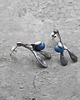 kolczyki wire wrapping Kianit   - sztyfty