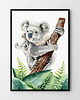 obrazy i plakaty do pokoju dziecięcego Koala - plakat