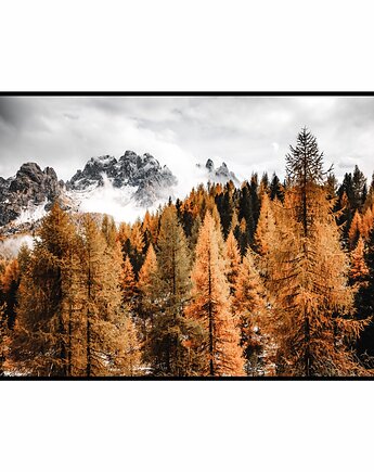 Plakat "Las w południowym Tyrolu", Fotobloki and decor