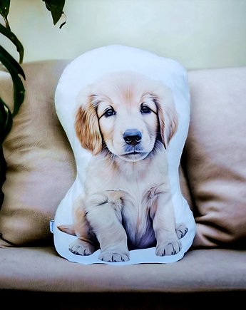 Poduszka piesek przytulanka z pieskiem pies maskotka pies golden retriever, Uszyciuch