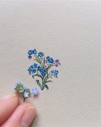 Niezapominajki , Botanical illustration, miniatura, atelier Brocante