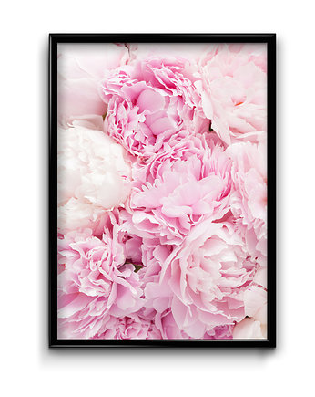 Plakat Pink peony No.2, Bury Lis