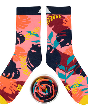 Jungle, CUP of SOX