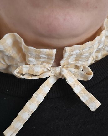 Kołnierzyk w żółtą krateczkę, Rzecz w Tym