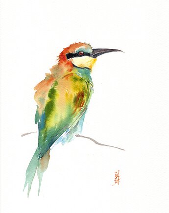 Oryginalna akwarela. Żołna, alquadro