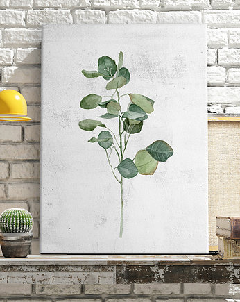 Obraz na płótnie ROŚLINKA EUKALIPTUS 40x60cm, LUdesign gallery