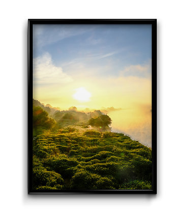 Plakat Nad Bugiem No.1, Bury Lis
