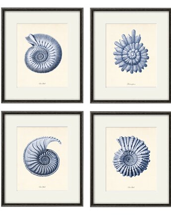 Zestaw 4 grafik  koralowiec reprodukcja morskie  plakaty muszle niebieskie, Victorian wall art