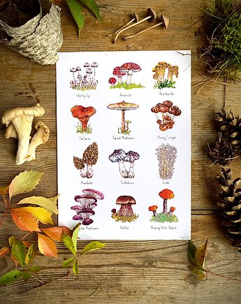 Grzyby- grafika na ścianę- ilustracja- grzybki, BOSKE