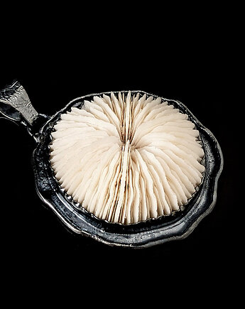 Koral grzybowieniec, Pracownia Neores