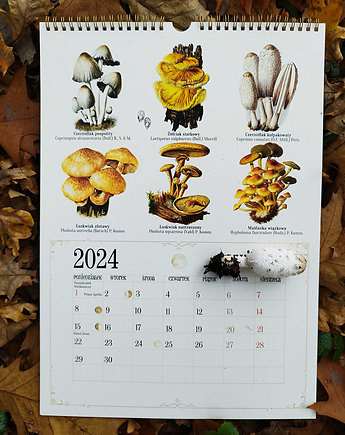 Kalendarz z grzybami MYKOTERAPIA 2024 Z OPISEM GRZYBÓW A3 grzyby, LEELA DESIGN