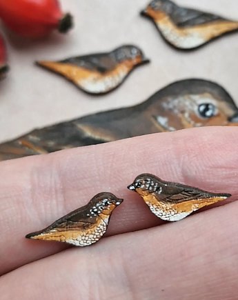 Drozdy malowane, DWUKROOPEK