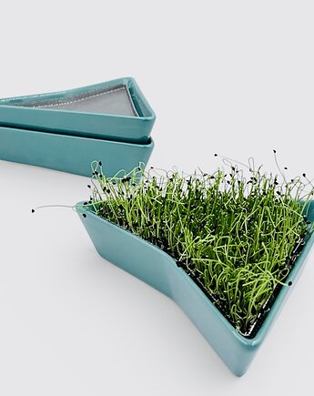 Zestaw 3 morskich kiełkowników + BIO ZIARNA, Kiełkowniki