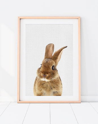 Plakat Króliczek - Plakat do pokoju dziecka, LOVINA PRINTS