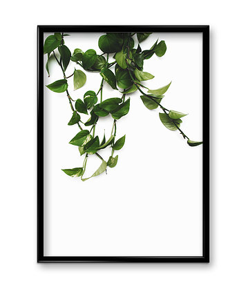 Plakat Zieleń #4 , Bury Lis