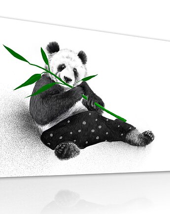 Obraz na płótnie Panda z Bambusem 80x60cm, NOWdeco
