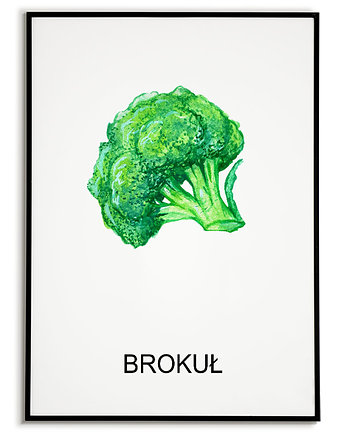 Plakat  GRAFIKA BROKUŁ warzywa obraz ZIOŁA, Bajkowe Obrazki