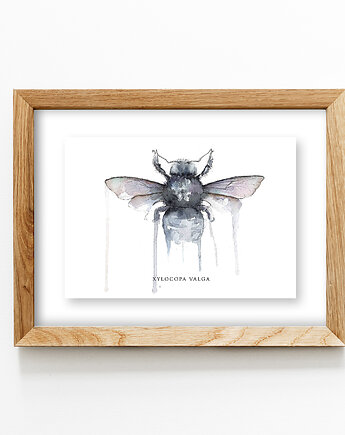 Czarna Pszczoła 30x40 cm, JUST ILUST Justyna Małczak