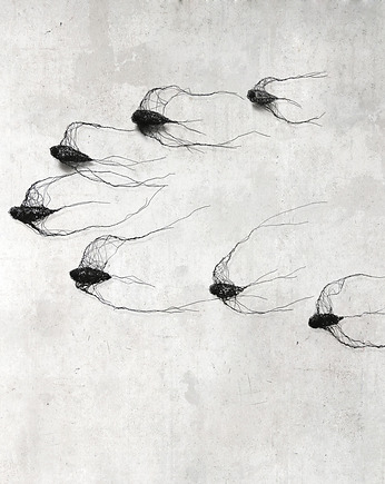 Instalacja z metalu nr XVIII - ptaki w kluczu (7 sztuk), Maja Gajewska