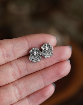 Pies berneńczyk mini kolczyki sztyfty ze srebra, Cztery Humory