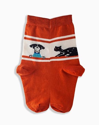 Kolorowe Skarpetki - Dogcats Socks, Prezent Socks