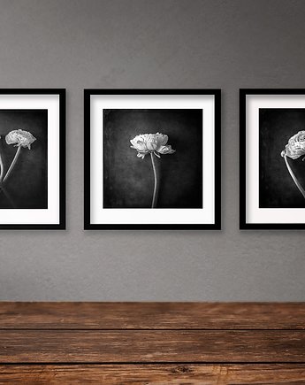 Buttercup Flowers - zestaw trzech fotografii, ATStudio