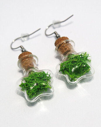 Kolczyki fiolki - mech, gwiazda, yenoo