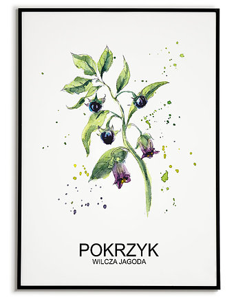 Plakat  GRAFIKA WILCZA JAGODA warzywa ZIOŁA, Bajkowe Obrazki