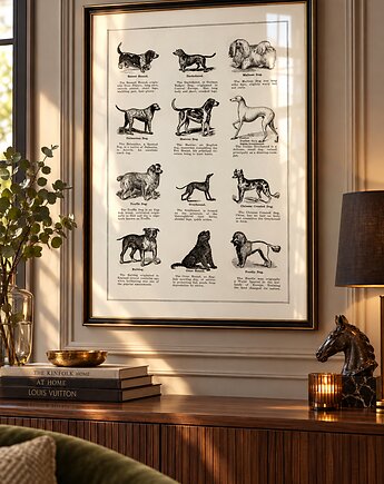 PLAKAT rasy psów, pies vintage ilustracja, prezent z psem, grafika psy, black dot studio