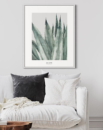 Agave / reprodukcja akwareli, Margo Hupert