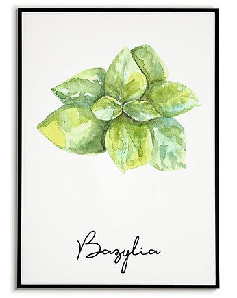Plakat botaniczny GRAFIKA roślina ZIOŁA bazylia, Bajkowe Obrazki