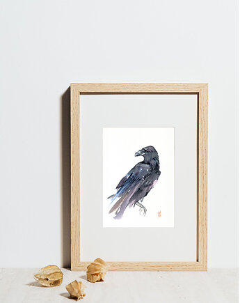 Oryginalna akwarela. Kruk, alquadro