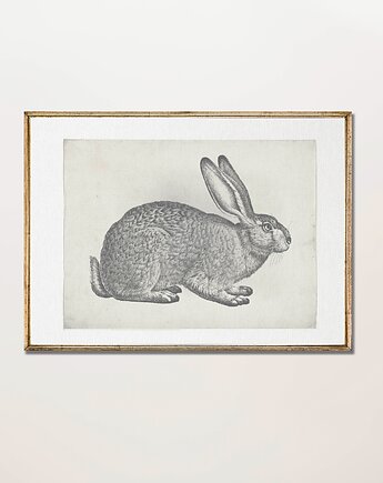 Plakat Vintage Zając Królik Zajączek Szkic, Old Soul Mood Prints