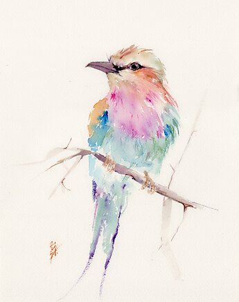 Oryginalna akwarela. Kraska, alquadro