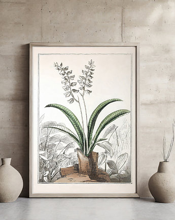 Plakat botaniczny, ArchiBotanica