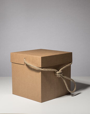 Bag Box - Torba tekturowa rozmiar: 22x22x22 cm, BagStreetBox