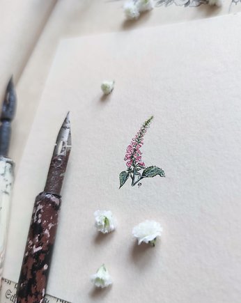 Naparstnica, Botanical illustration, miniatura, atelier by Olga