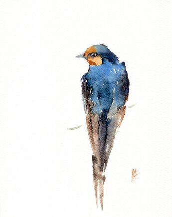 Oryginalna akwarela. Jaskółka, alquadro