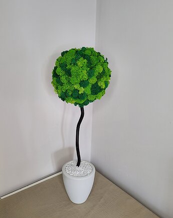 Drzewko z mchu w wazonie, Florals&Moss